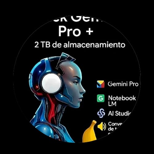 GEMINI PRO